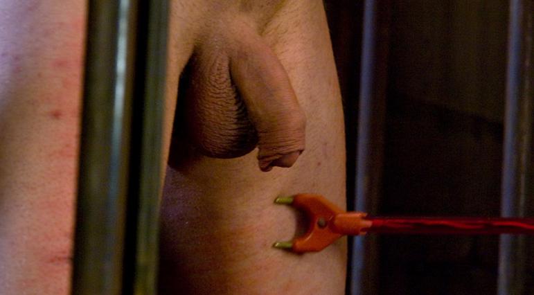 amazing free porn sites